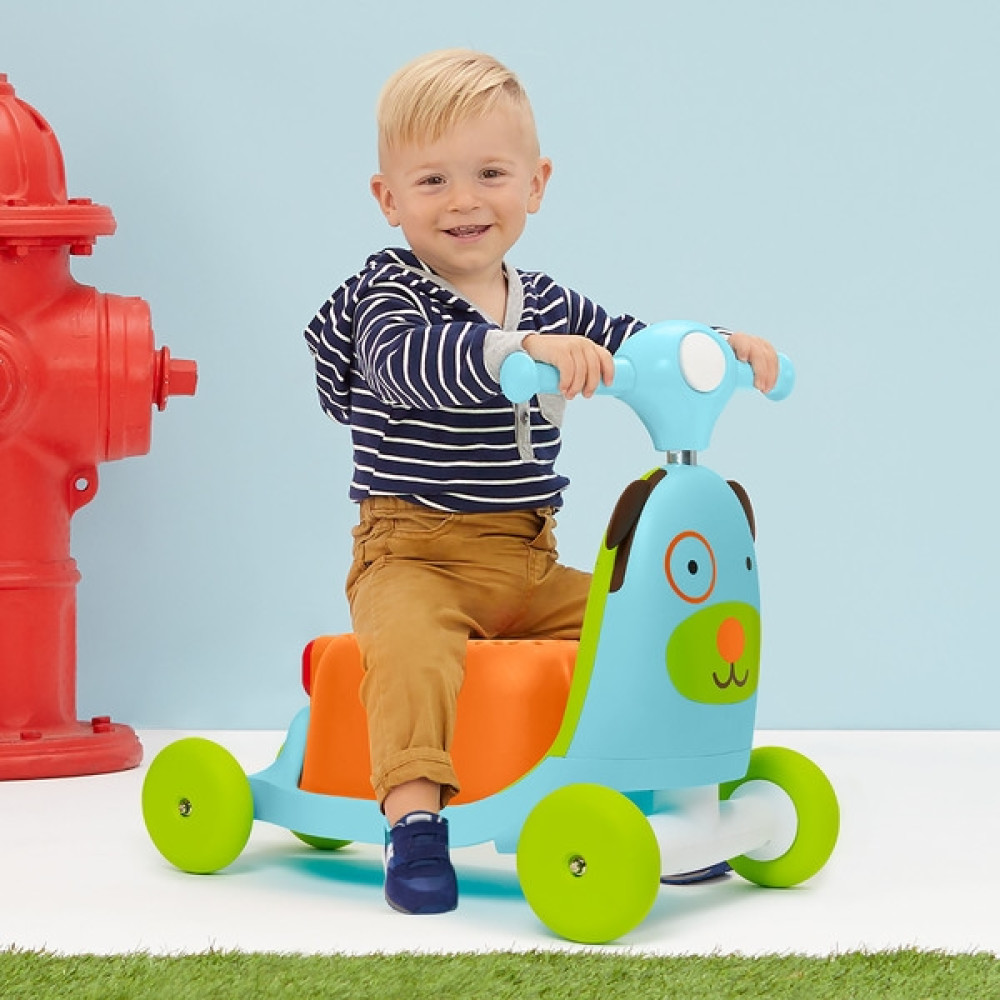 Skip Hop Trotineta 3 In 1 Ride On Catel Petit Bebe