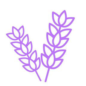 lavanda